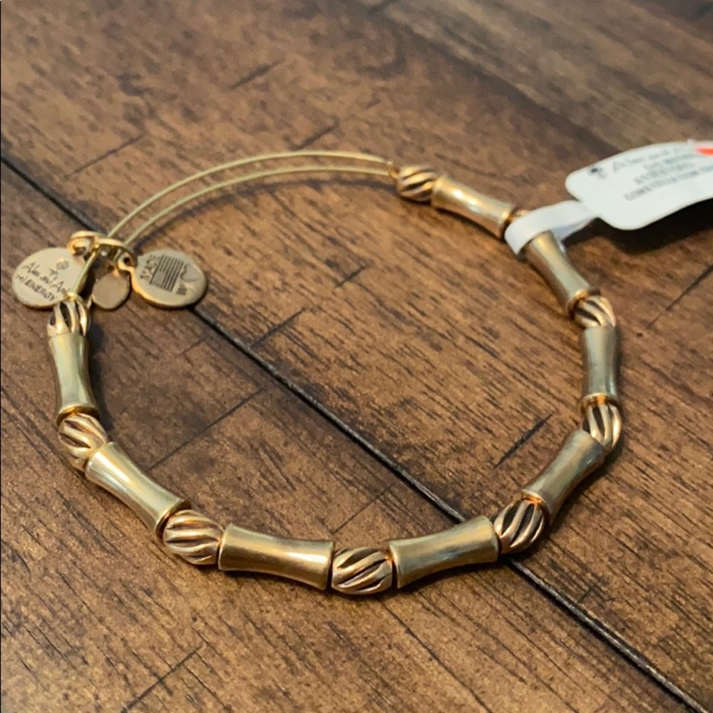 Brand New! Alex & Ani Constellation EWB in gold